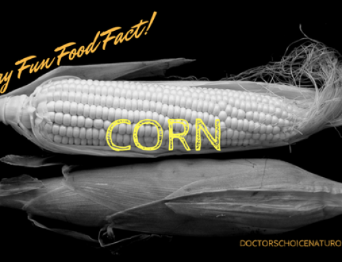 Friday Fun Food Fact: Corn