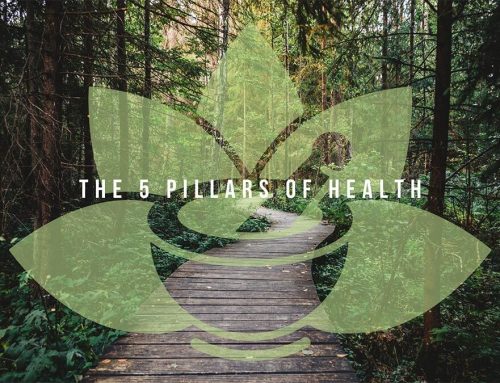 The 5 Pillars of Health